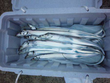 サイズダウンしました。