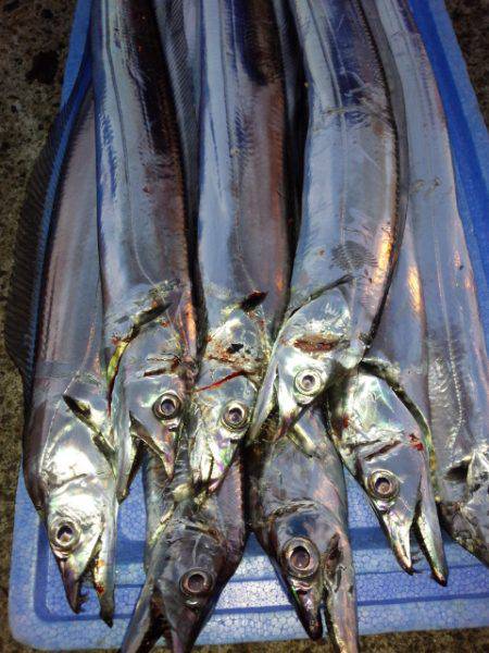 寒い中....それなりに