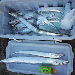 アンチョビでドラゴン