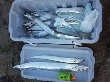 アンチョビでドラゴン