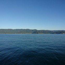 ナブラ打ち(*^^*)