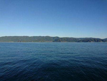 ナブラ打ち(*^^*)