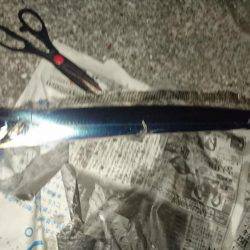 タチウオフィーバー