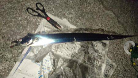 タチウオフィーバー