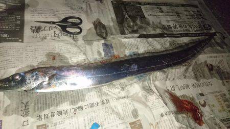 タッチーが釣りたくて