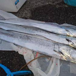 ドラゴンフィーバー