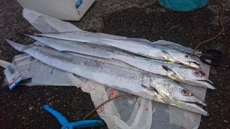 ドラゴンフィーバー