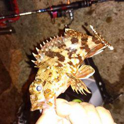 そろそろアジの季節