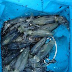 ヒイカエギング