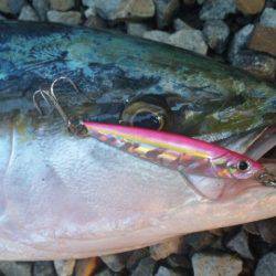 ショアジギング釣行