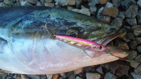 ショアジギング釣行