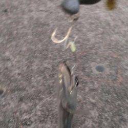 昨日のリベンジ