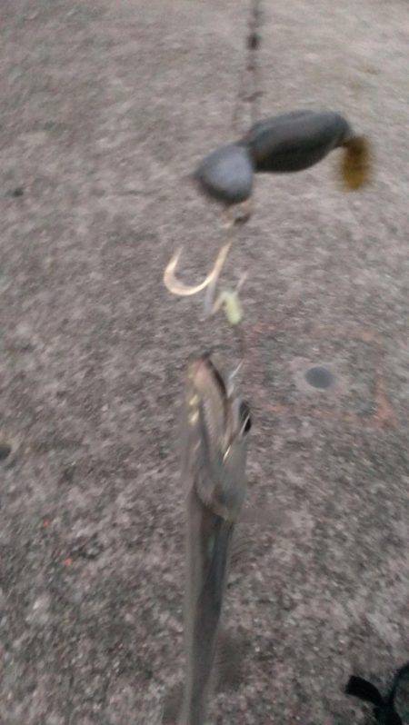 昨日のリベンジ