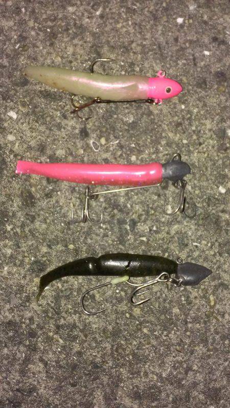 シャッド系全滅