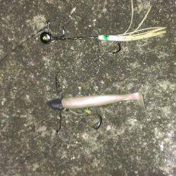 ルアーより餌か