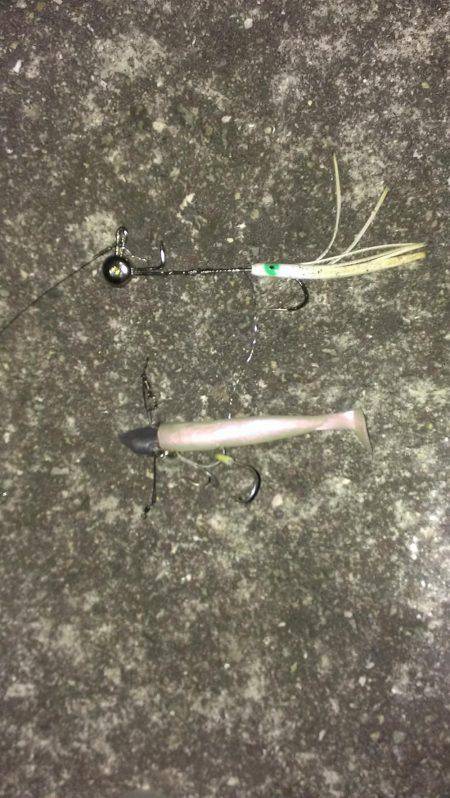 ルアーより餌か