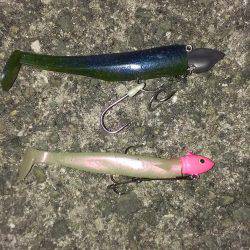 釣果も雨もポツポツ