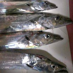 昨日の分も釣れたな