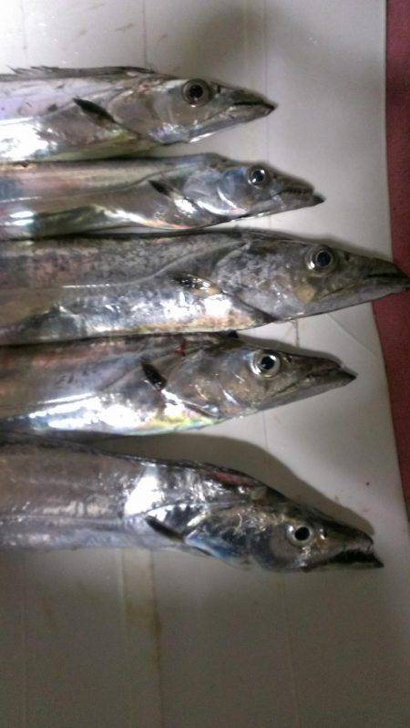 昨日の分も釣れたな