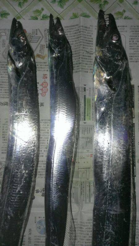 ドラゴン(級)ゲット！