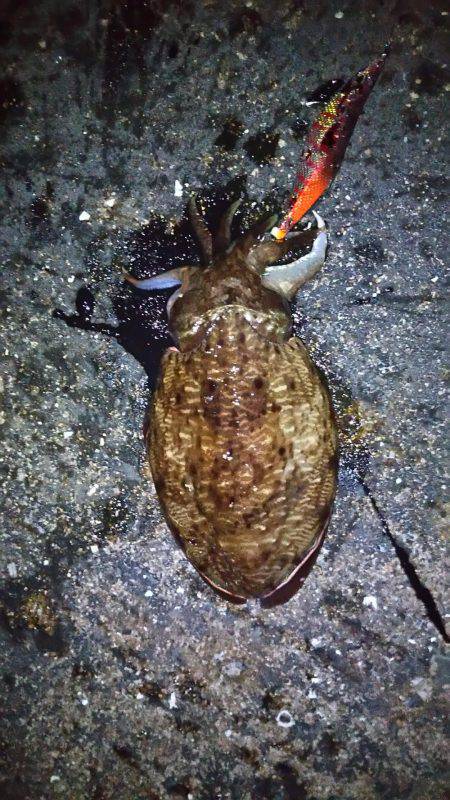 そろそろ終盤戦？