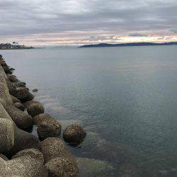 強風の中、タチウオ