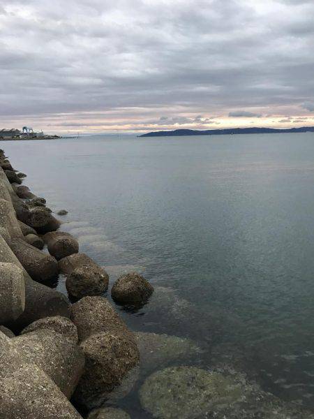 強風の中、タチウオ