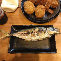 久々ナイトアジング