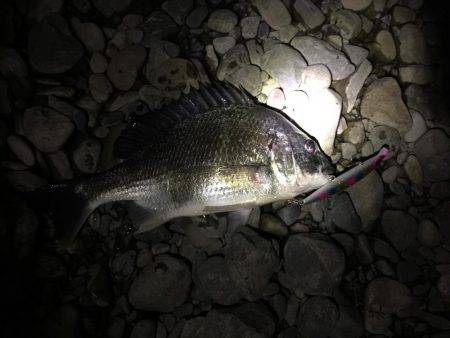 落ち鮎パターン