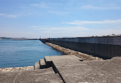 カレイじゃなくて…