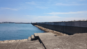 カレイじゃなくて…