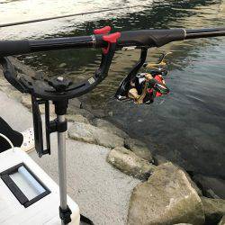 有田川河口で、