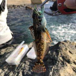 越前海岸テトラ帯〜磯