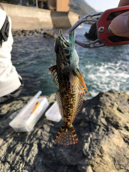 越前海岸テトラ帯〜磯