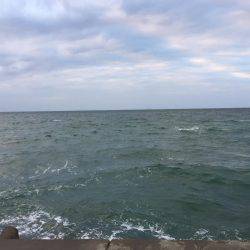 サラシパターン