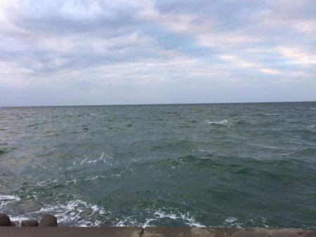 サラシパターン