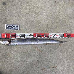 劇渋のなか、嬉しさ倍増!