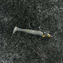 朝マズメ　時合短し！！