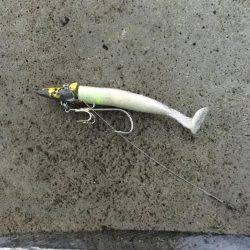 タチウオ今釣れるやつはデカイ