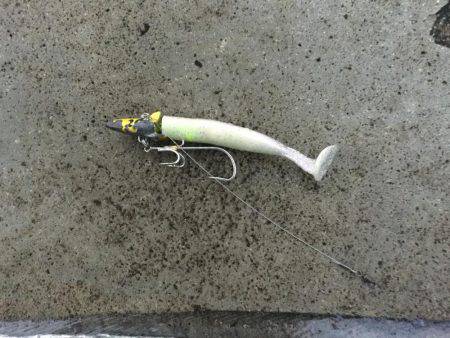 タチウオ今釣れるやつはデカイ