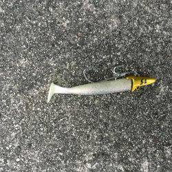 タチウオまだいける