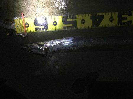 そろそろ終盤戦