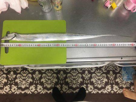 仕事終わりに刀狩り