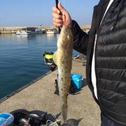 カレイ狙いのはずが・・・・?