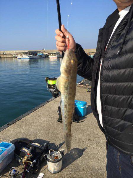 カレイ狙いのはずが・・・・?