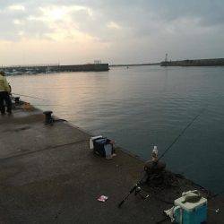 33年ぶりのカレイ！