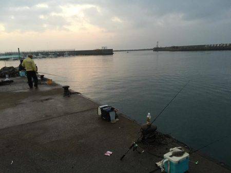 33年ぶりのカレイ！