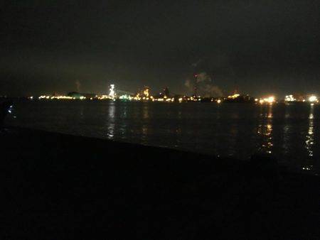 ワインド始めて二匹目！