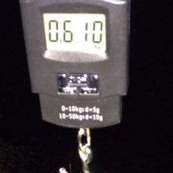 一瞬のタイミング