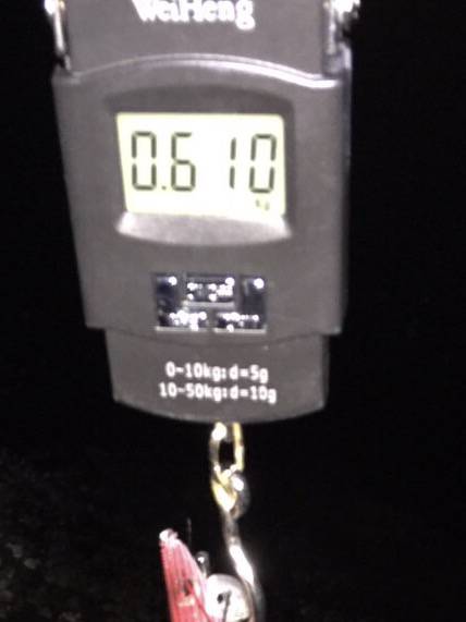 一瞬のタイミング